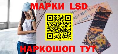 молекула духа Камышлов
