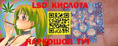 молекула духа Камышлов