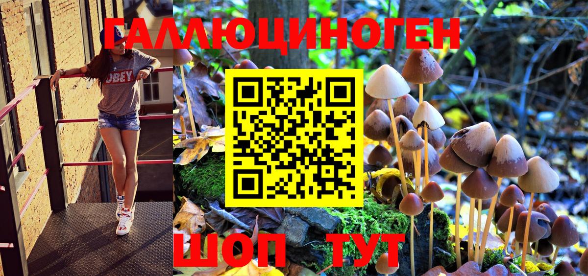 купить   Псилоцибиновые грибы Magic Shrooms  Кстово  Вход с VPN  Псилоцибиновые грибы ЛСД 